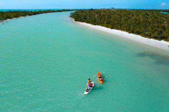 Punta Gorda: A Different Side of Florida